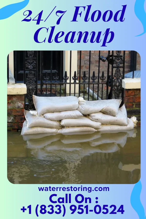 24/7 Flood Cleanup in Villarreal, TX