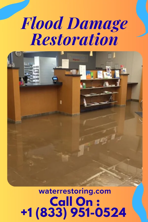 Flood Damage Restoration in Villarreal, TX