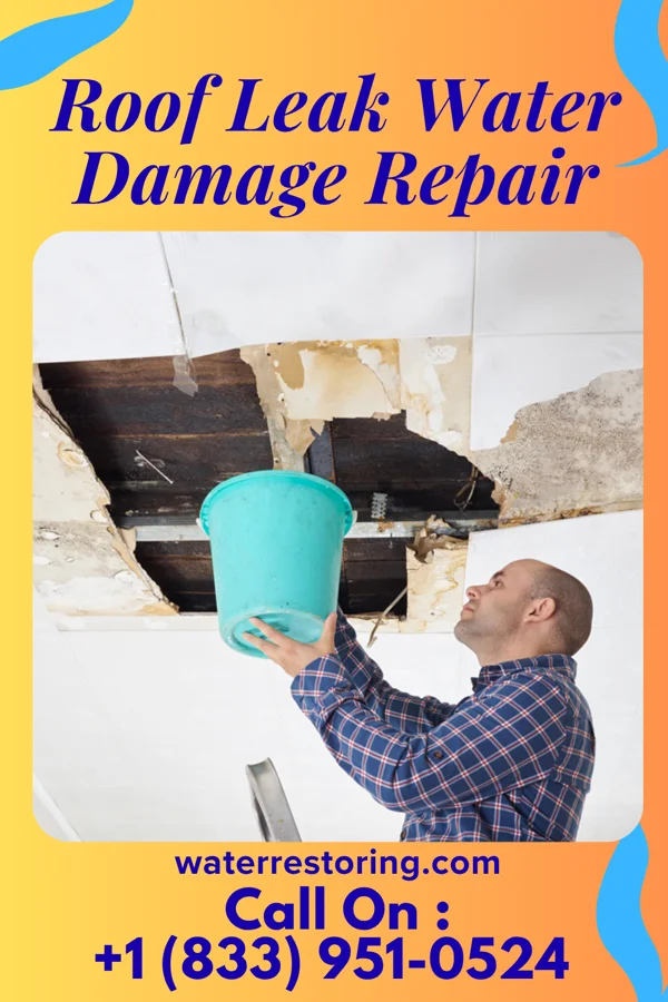 Roof Leak Water Damage Repair in Villarreal, TX